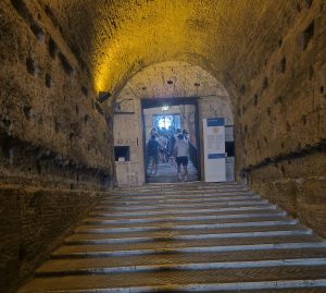 IMG20240730095619 Scaled E1772908724460 300x269