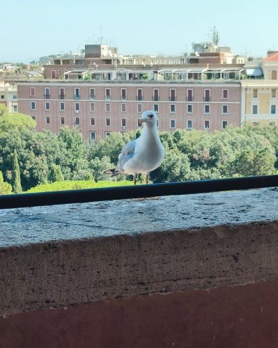 Castel Sant’Angelo Majonen.com